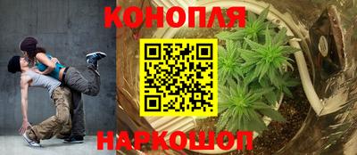 винт Донецк