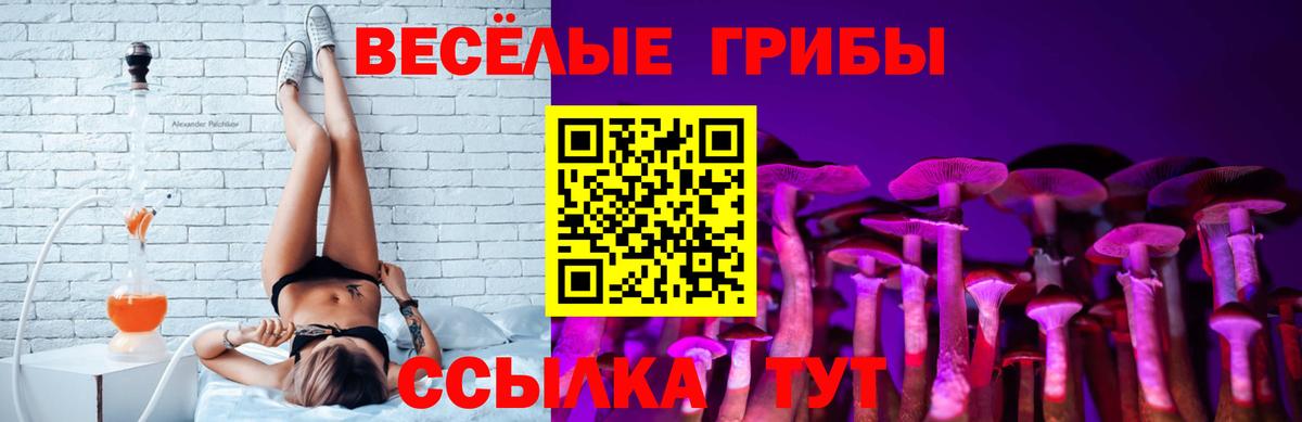Ливны  Галлюциногенные грибы GOLDEN TEACHER  Вход с VPN 